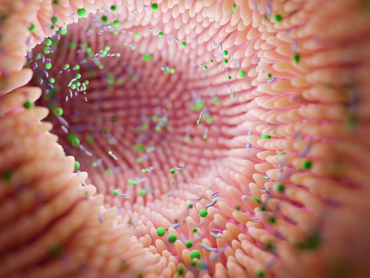 Gut Health and Its Role in Overall Well-Being: The Microbiome ...
